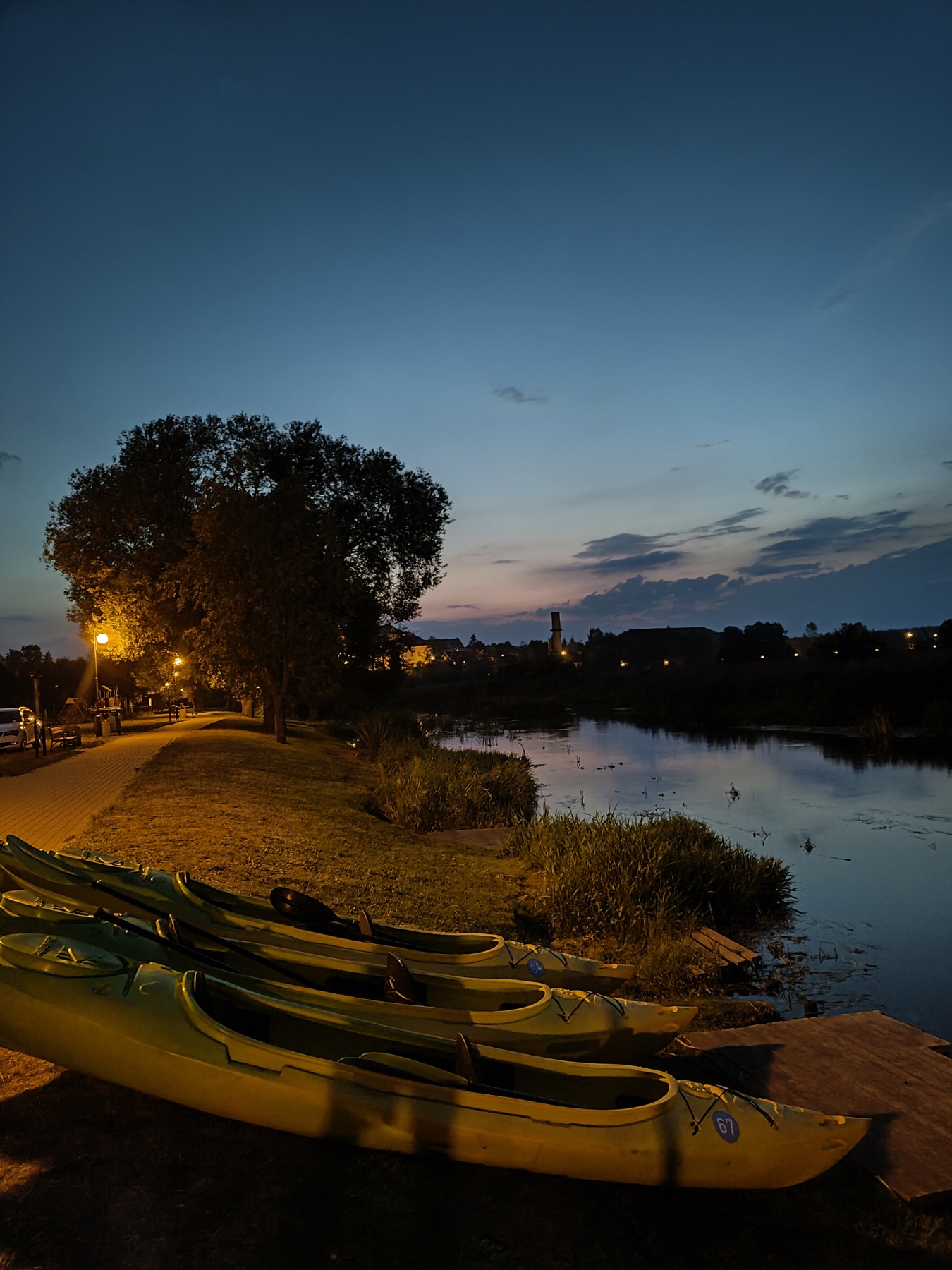 Pies podczas spływu kajakowego