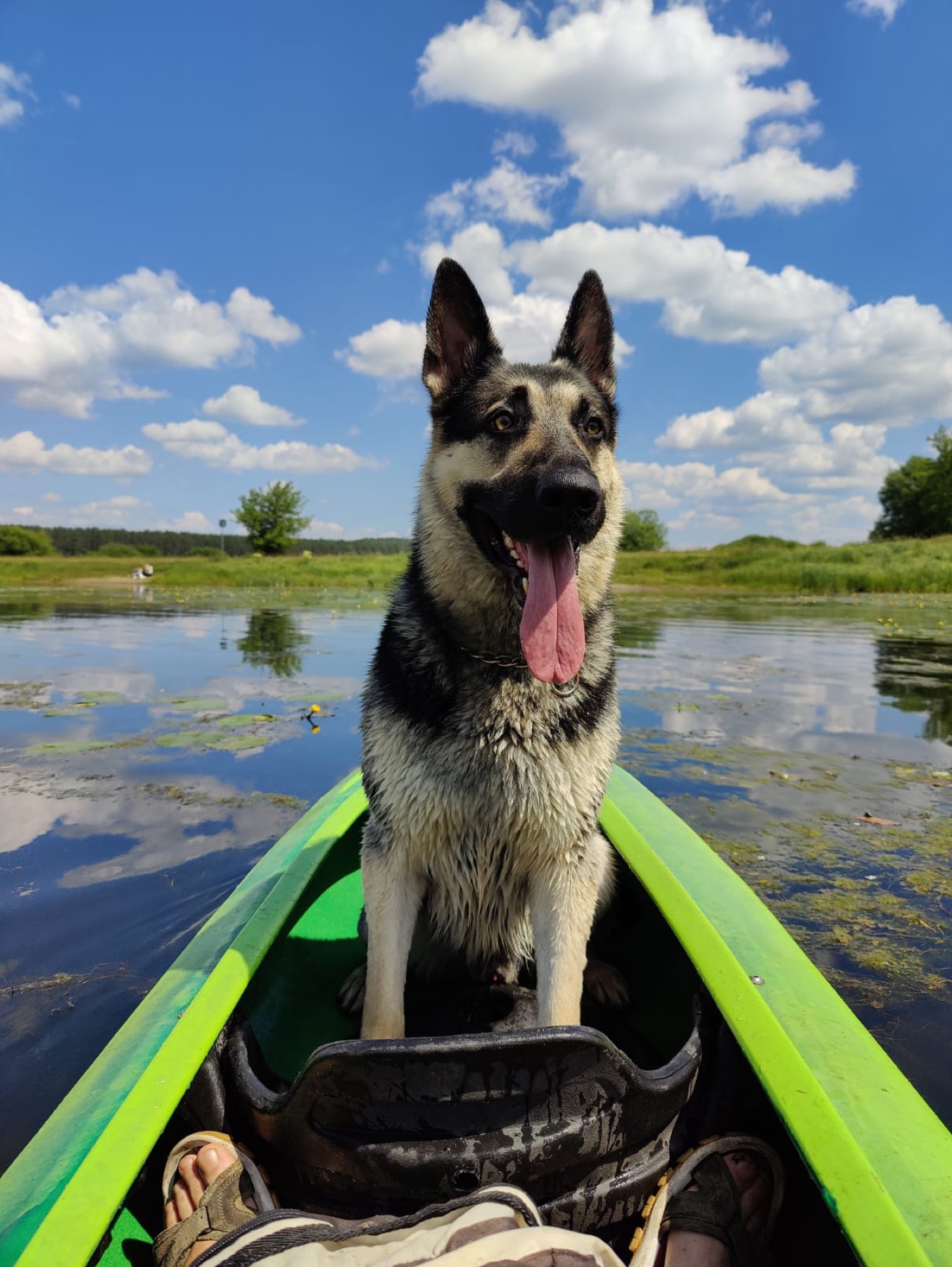 Flaga Chillout Kajaki przy rzece Supraśl
