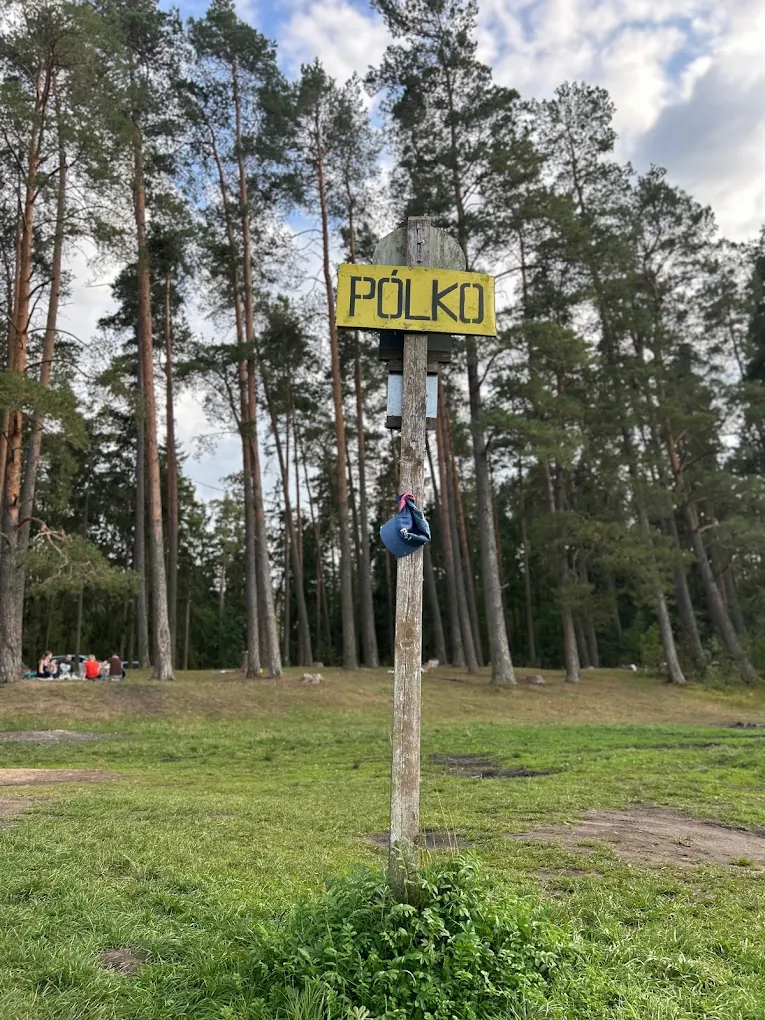 Znak Pólko w sosnowym lesie — meta spływu kajakowego